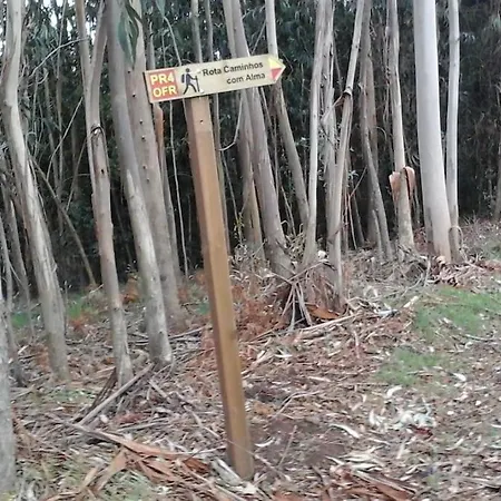 Casa Quelha Da Presa *