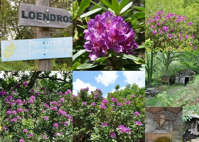 Casa Quelha Da Presa *